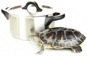 turtle-soup[1]