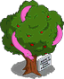 Запретное дерево